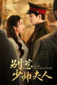 别惹少帅夫人