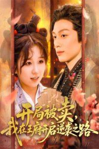 开局被卖，我在王府开启逆袭之路