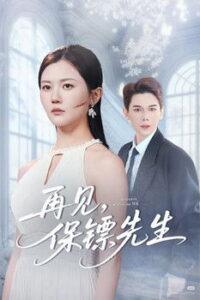 再见，保镖先生