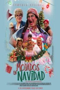 Mojados en Navidad
