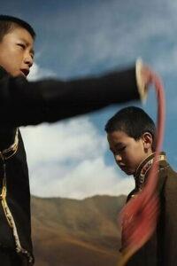 枯木上的乌尔朵