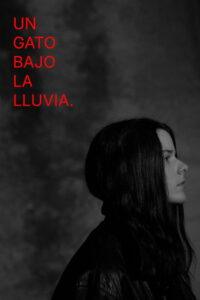 Un gato bajo la lluvia.