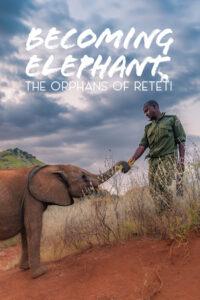 Becoming Elephant: The Orphans Of Reteti
