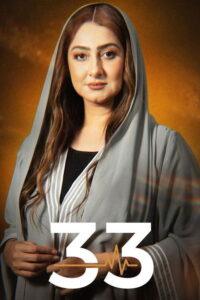 33