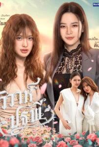 Os 4 Elementos da Terra