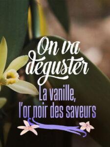On va déguster : La vanille, l’or noir des saveurs