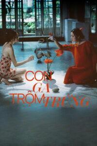 Con gà trộm trứng