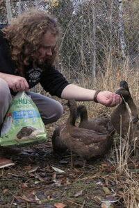 Baylin and the Ducks