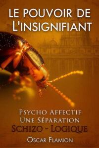 Le Pouvoir de l’Insignifiant – Psycho affectif : une séparation Schizo Logique