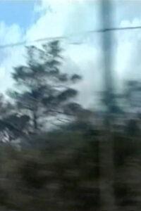 Through the Window