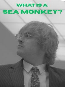 What Is A Sea Monkey?