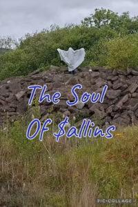 The Soul Of Sallins