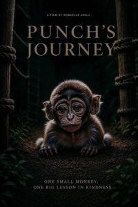 Punch’s Journey