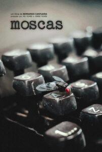 Moscas