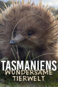 Tasmaniens wundersame Tierwelt