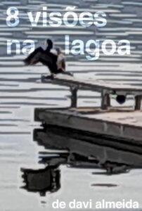 8 visões na lagoa