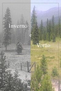 Winter and Summer
