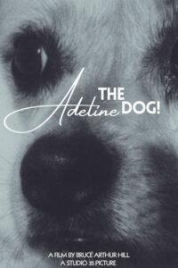 Adeline The Dog!