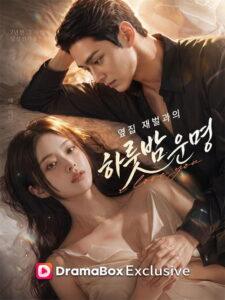 옆집 재벌과의 하룻밤 운명