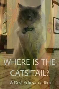 Where Is The Cat’s Tail?