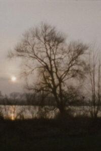 Landscape as Landscape – 27