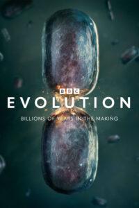 Evolution