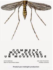 Comment mon coloc est devenu un moustique