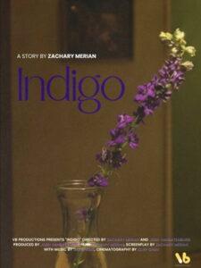 INDIGO