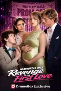 Heartbreak High: Revenge on My First Love