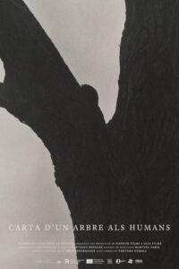 Carta d’un arbre als humans