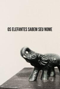 Os Elefantes Sabem Seu Nome