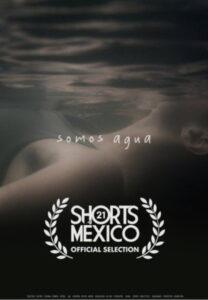 Somos agua