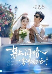 禁止闪婚，雾散归栖时