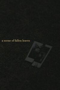 a scene of fallen leaves