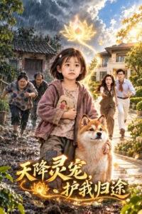 天降灵宠，护我归途