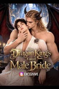 The Dragon King’s Fated Male Bride